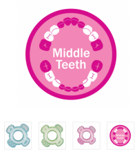 Munchkin 11480 Midlle Teeth Teether Stage 2 - kožamā rotaļlieta vidējiem zobiem green