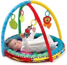 Playgro Art. 0184007 Ball Playnest Активный центр Happy House