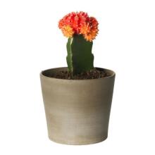 Ikea Mandel Art.101.658.06