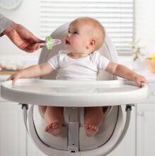 Munchkin Art.011492 green Baby Fresh Food Feeder