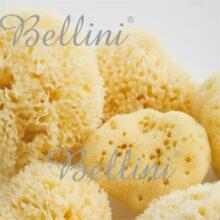 Bellini  Natural Sea Sponge Silk Fine №14