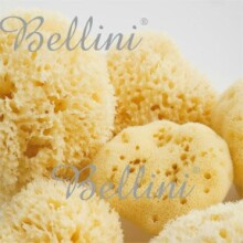 Natūrali jūros kempinė Bellini Honeycomb №10 Natūrali jūros kempinė