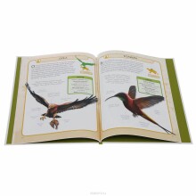 Encyclopedias 'Wild animals' (Russian language)