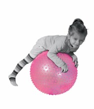 Ludi Art. 2784 Гимнастический массажный мяч, 45 см