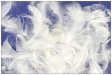 La Bebe™ Feather Art.85098 Дополнительный наполнитель из 100% белых утиных перьев для подушек/одеял