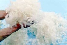 La Bebe™ Feather Art.85099 Refill Papildus pildījums - baltas piļu spalvas/zosu dūnas pakaviņām, spilveniem, segām