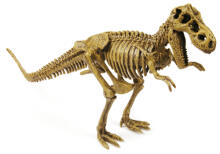 Clementoni Art.710950394 T-REX  Atjautības spēle