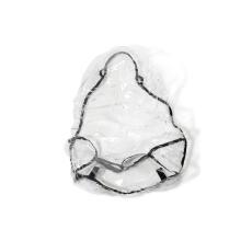 NordBaby Raincover Art.148748 Universālā lietusplēve