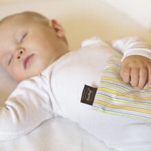 Fashy Baby Art. 6304  Грелка с виноградными косточками