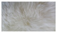 Natur Wool Art.56988  Ковер из овечьей шкуры (XXL) Натурального цвета 110 cм